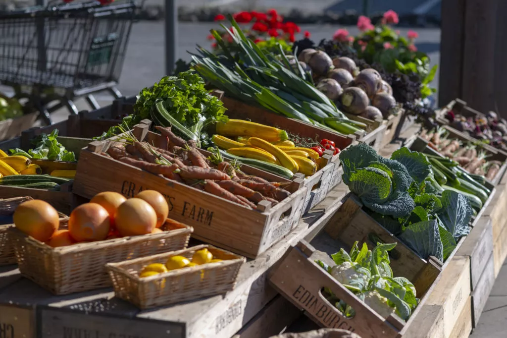 From Farm to Fork: Tracing Ingredients in Local Cuisines