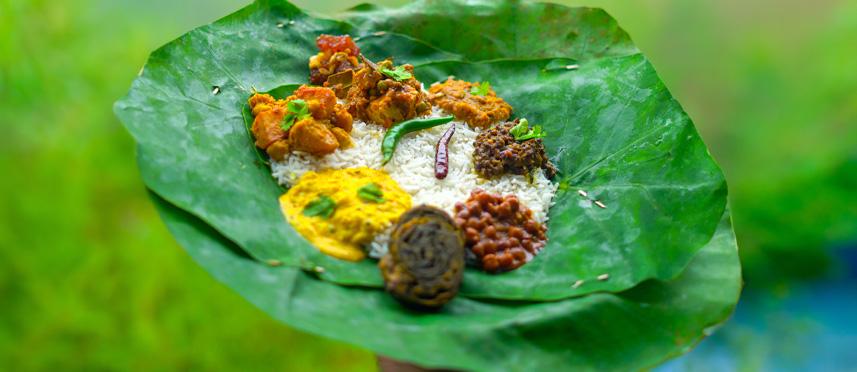 Taste of Tradition: Exploring Authentic Regional Dishes